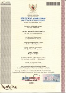 Program Analyst